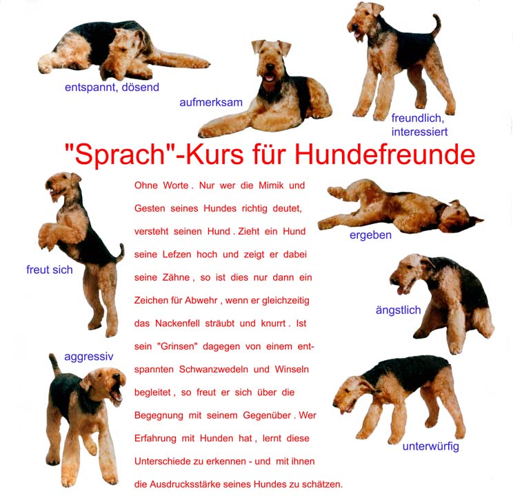 Hundesprache